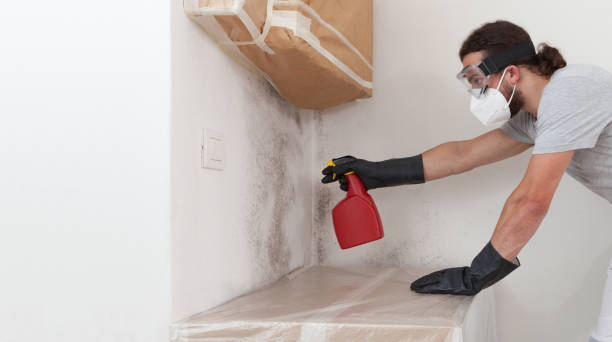 Professional Mold Remediation technician working in Westbury, NY